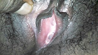 ಬೈಲಿ ಬ್ರೂಕ್ ಸ್ಟಾಕಿಂಗ ...