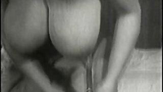 ಲೋಲಾ ಎಂಬ ಹಂದಿ ಬಾಲದ ಕ ...